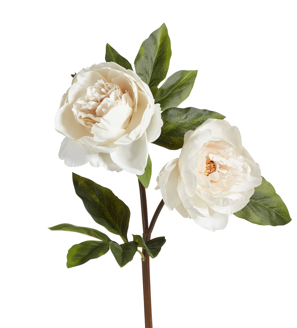 Faux Double Peony Stem - White