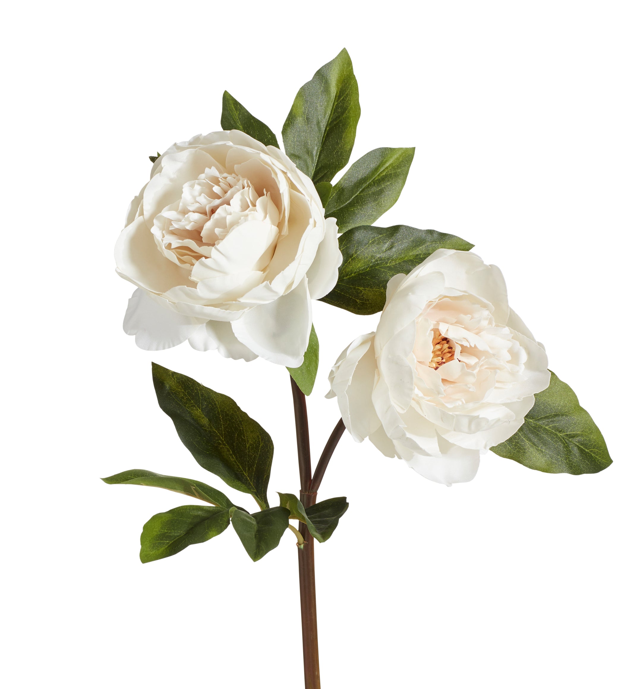 Faux Double Peony Stem - White