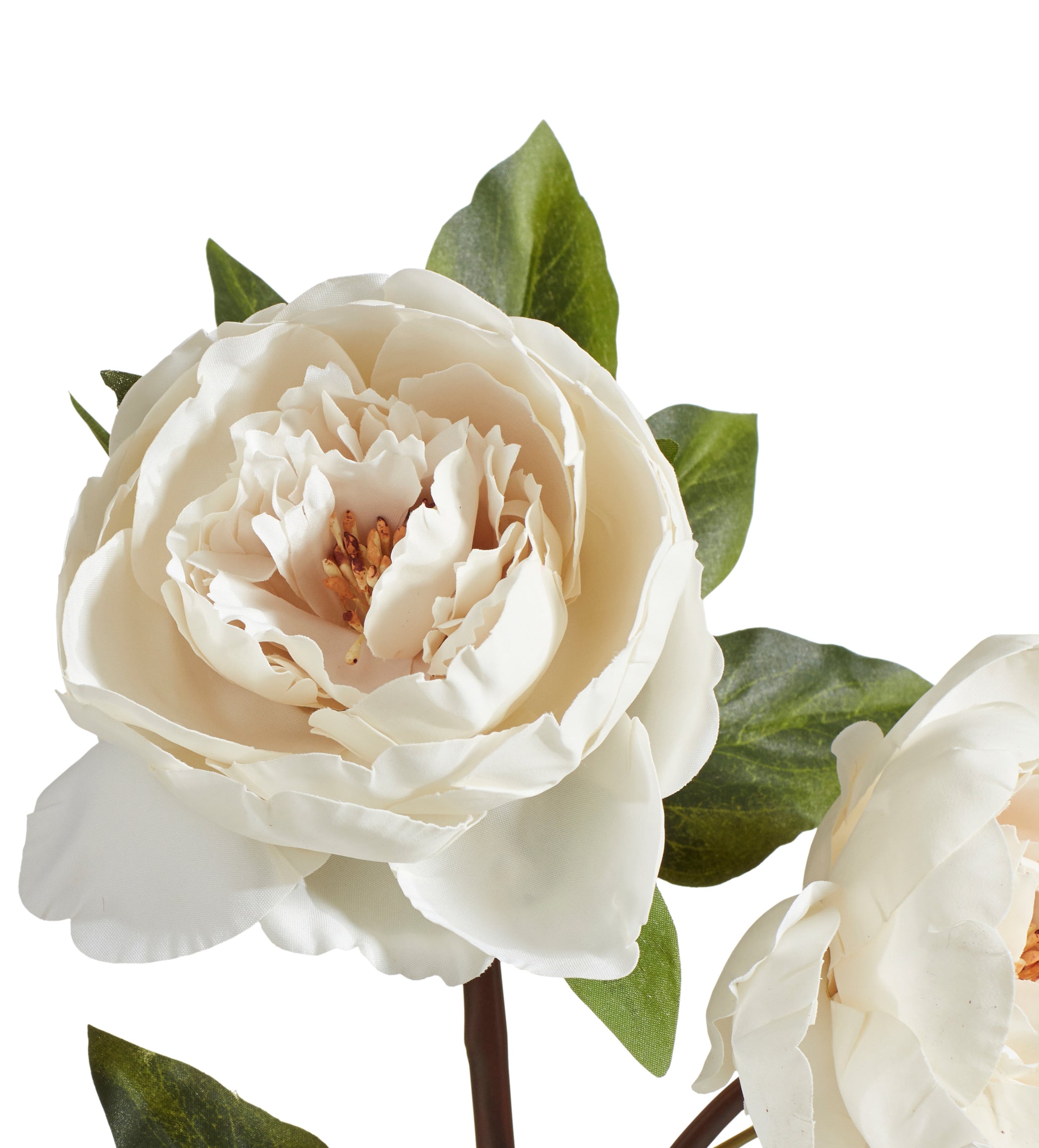 Faux Double Peony Stem - White