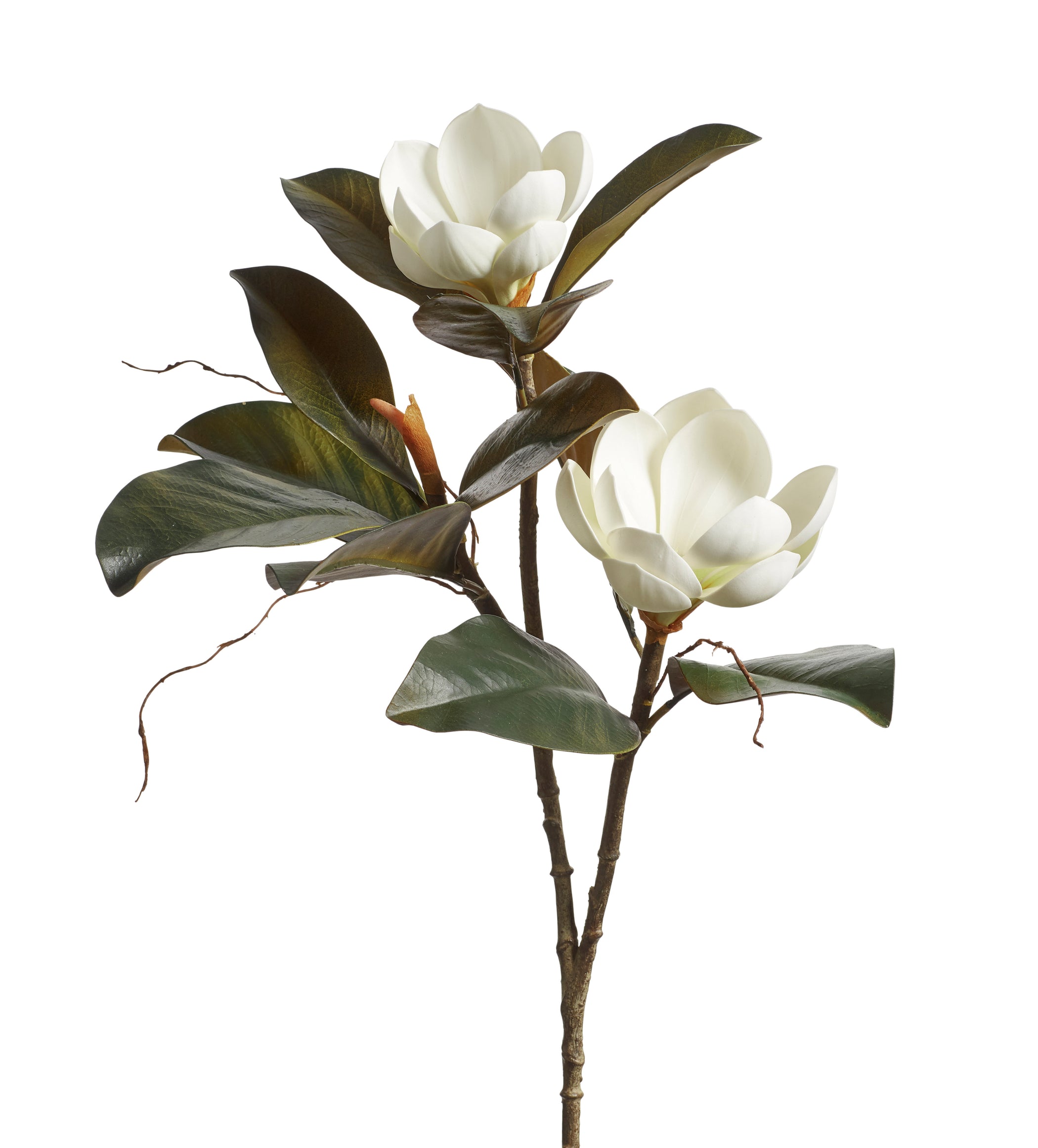 Faux Magnolia Grandiflora Branch - White