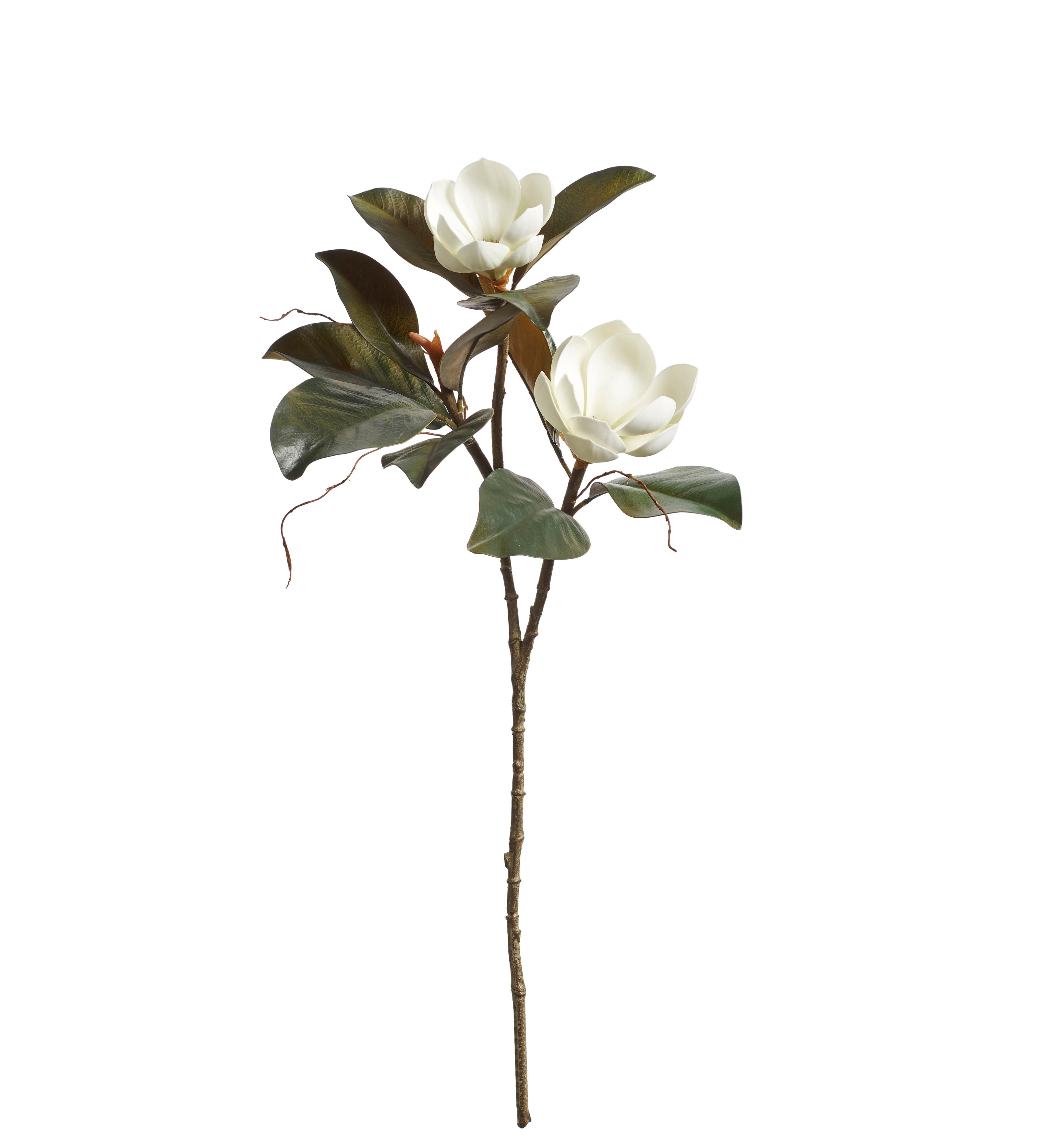 Faux Magnolia Grandiflora Branch - White