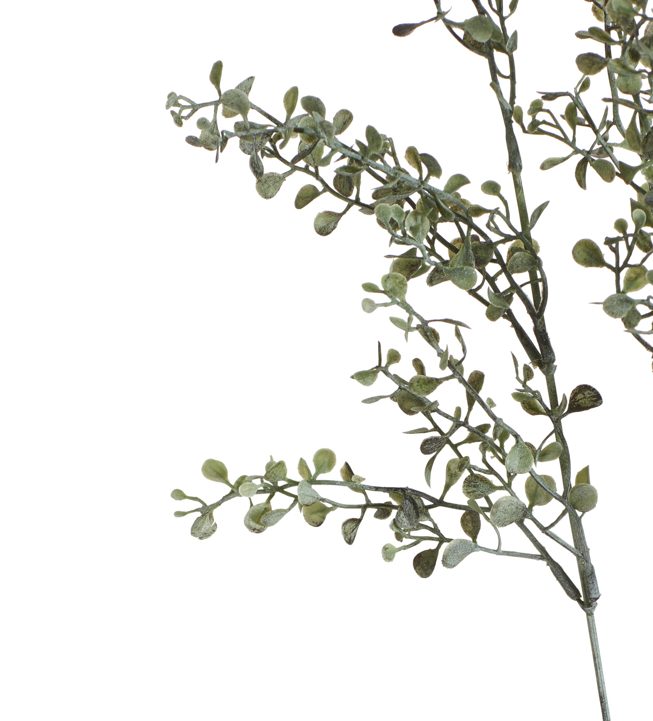 Faux Maidenhair Fern Stem - Green/White