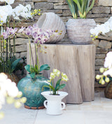 Faux Mini Orchid - Green