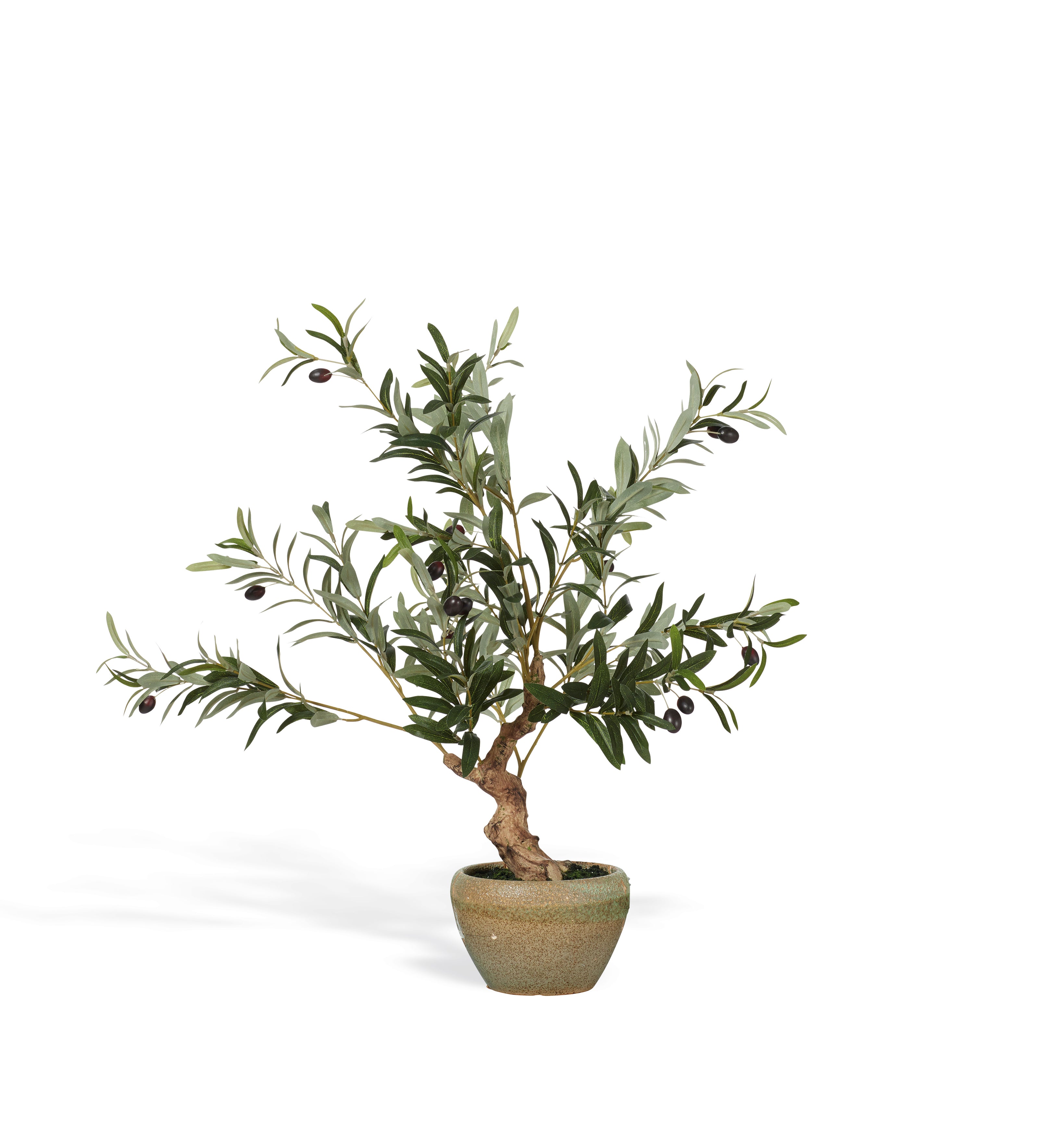 Faux Miniature Olive Tree - Black
