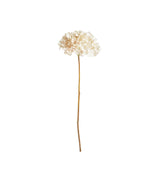 Faux Mophead Hydrangea Stem - Off-White