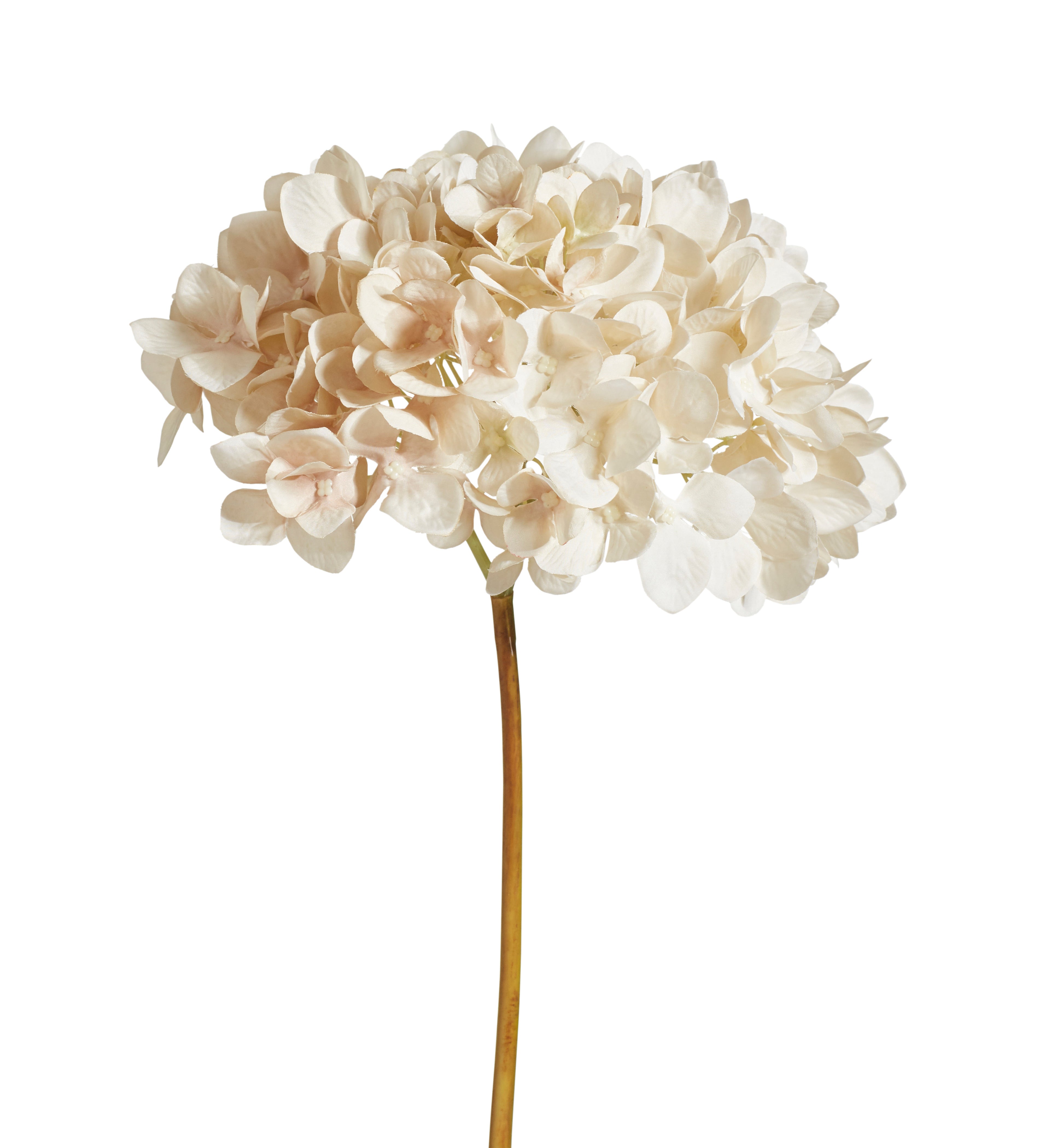 Hydrangea4937　0602 Faux Mophead Hydrangea Stem - Off-White | OKA