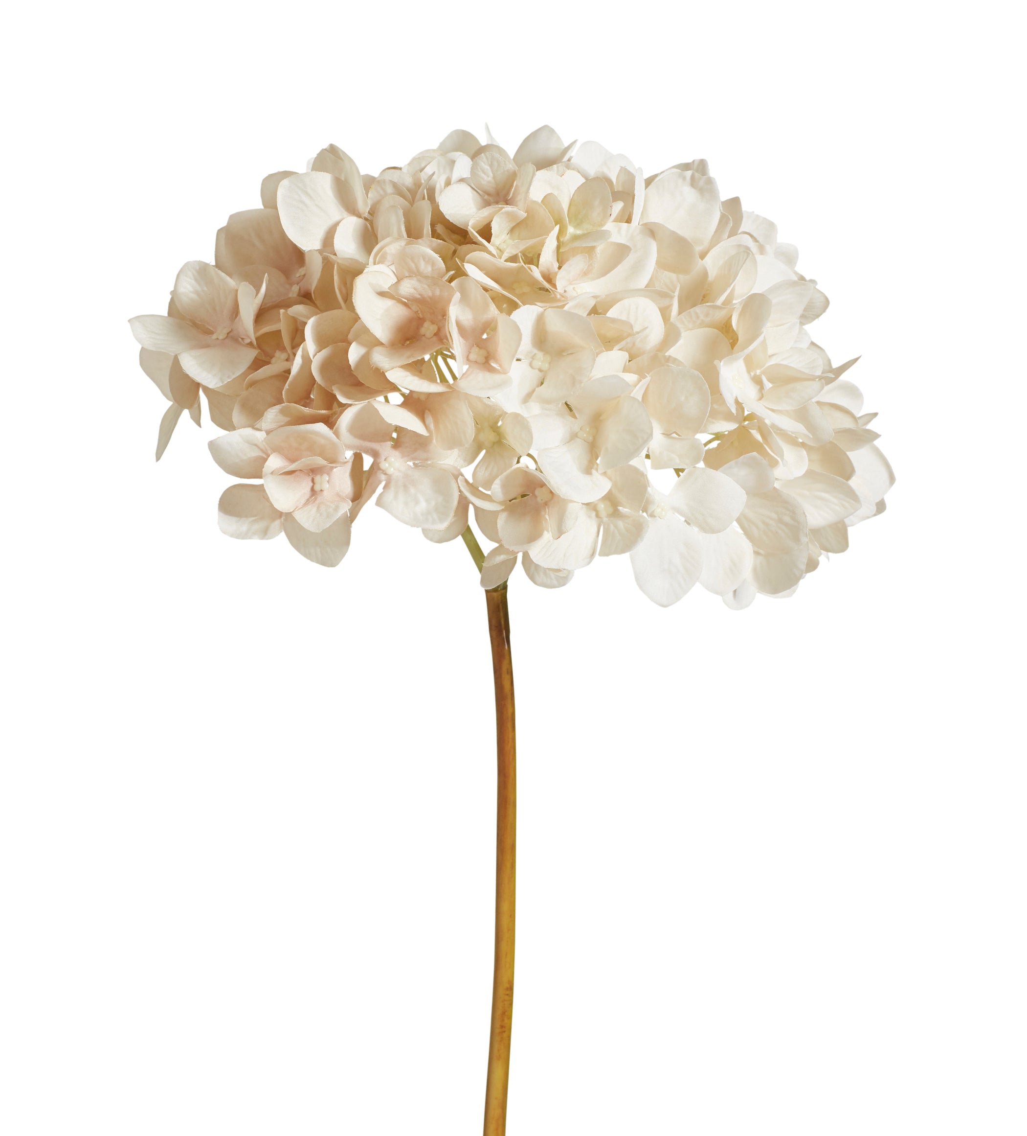 Faux Mophead Hydrangea Stem - Off-White