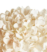 Faux Mophead Hydrangea Stem - Off-White