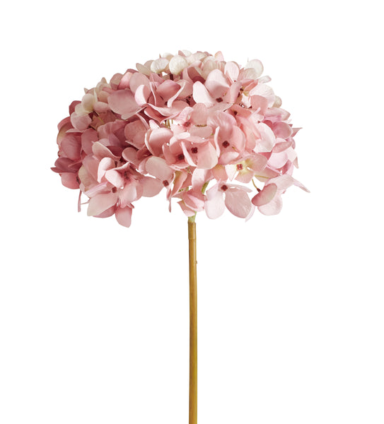 Hydrangea4937　0602 Phillip's Springtime Love Bouquet #P706X - Florist Delivery