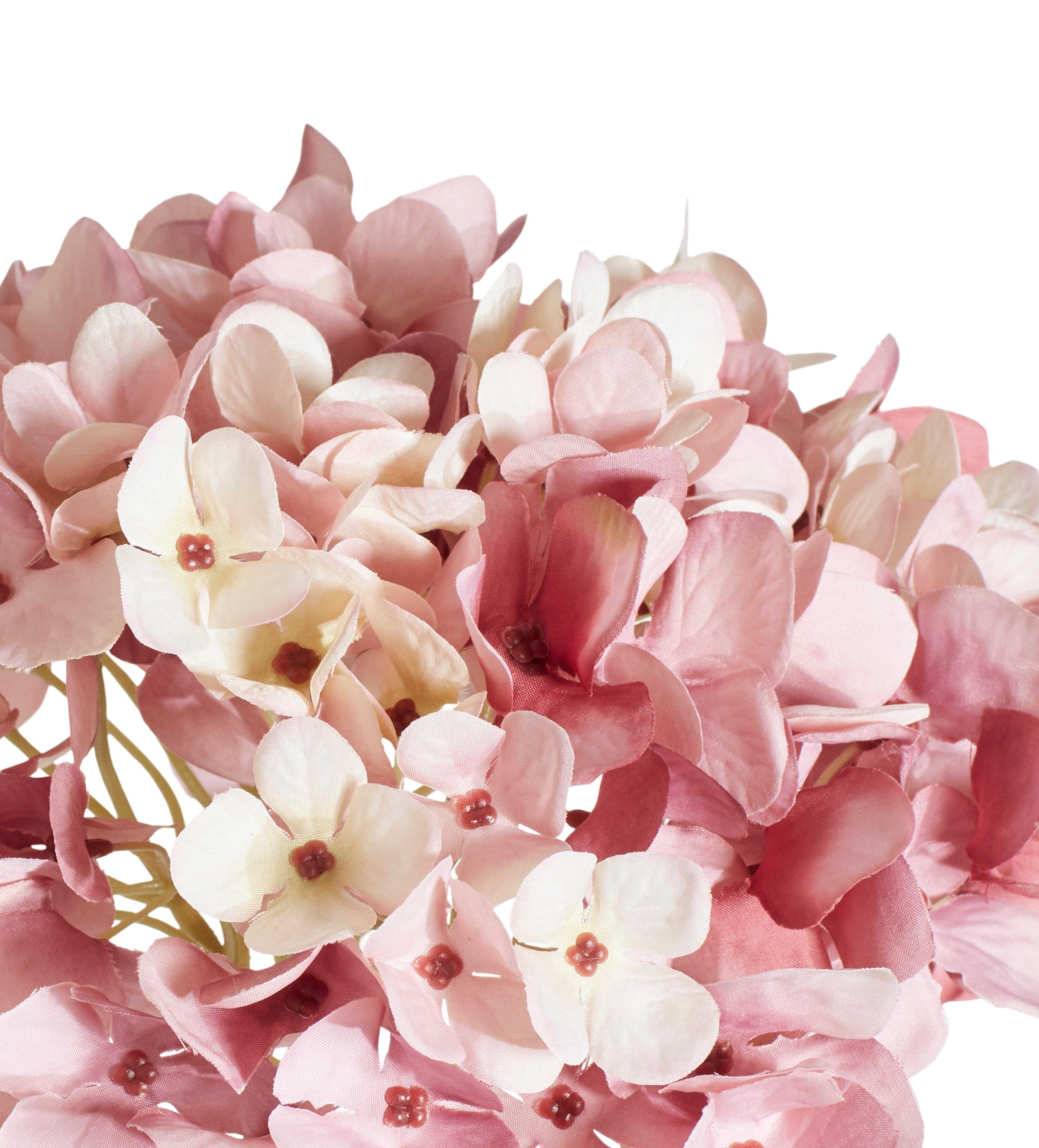 Hydrangea4937　0602 Hoppy Easter™ Bouquet