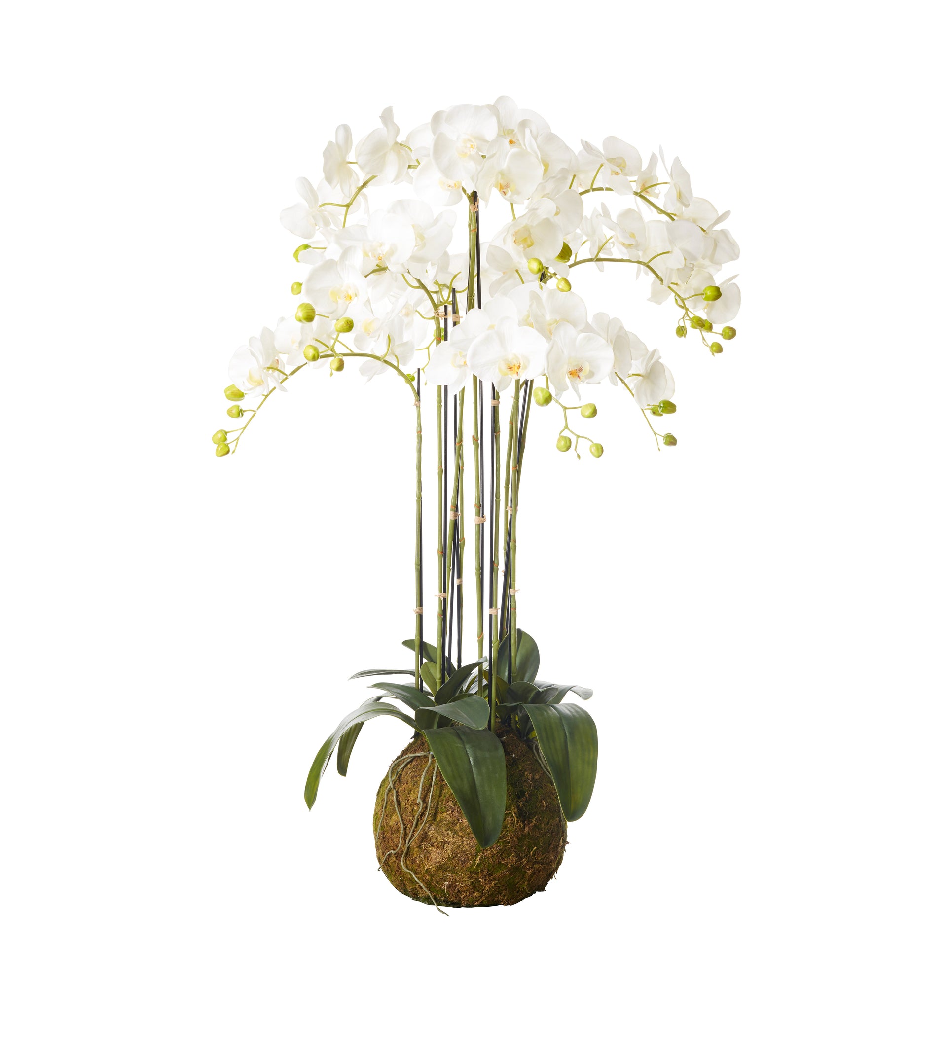 Large White Faux Phalaenopsis Orchid