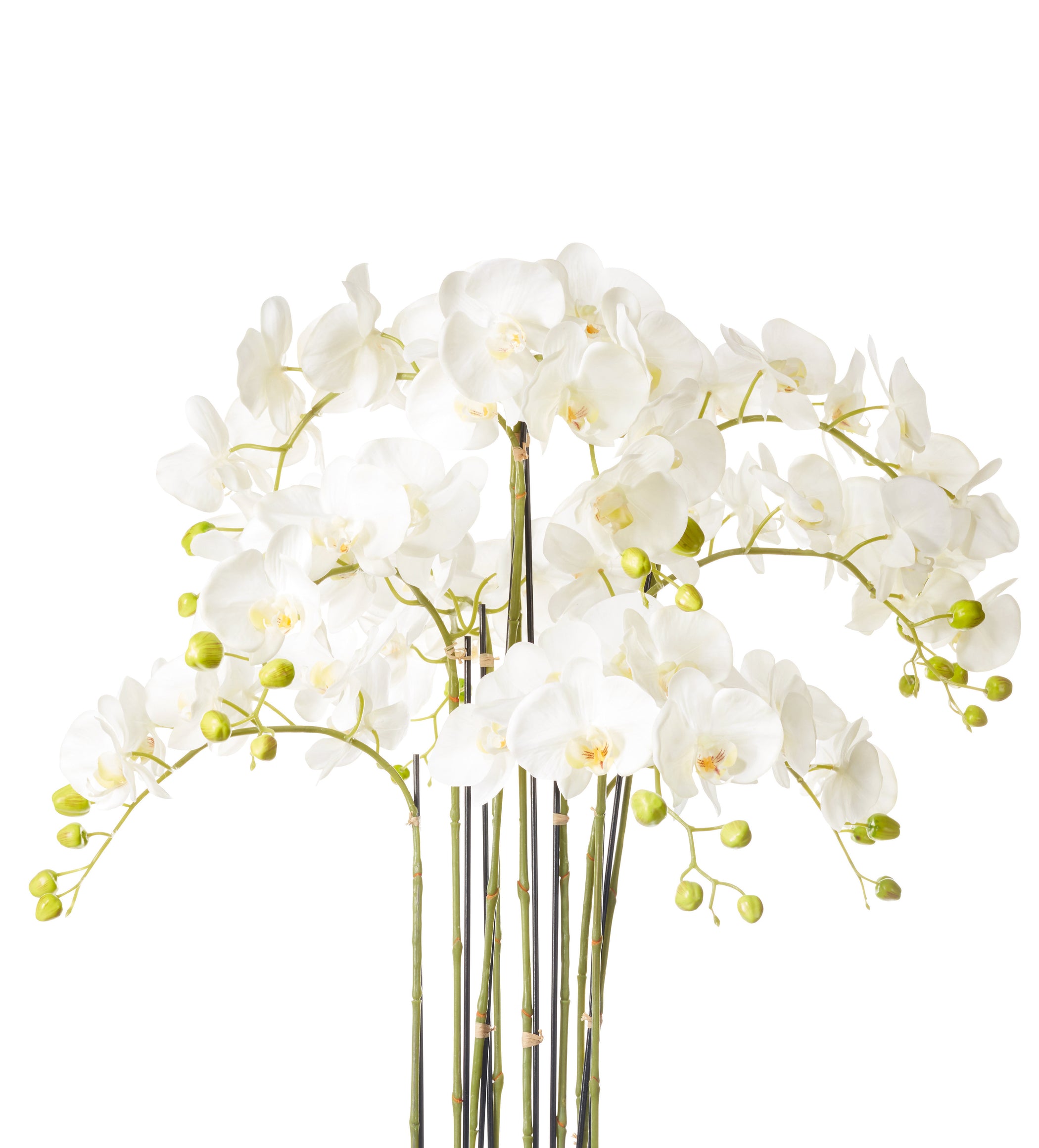 Faux Planted Phalaenopsis Orchid - Large - White