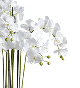 Faux Planted Orchid - Medium - Chinoiserie