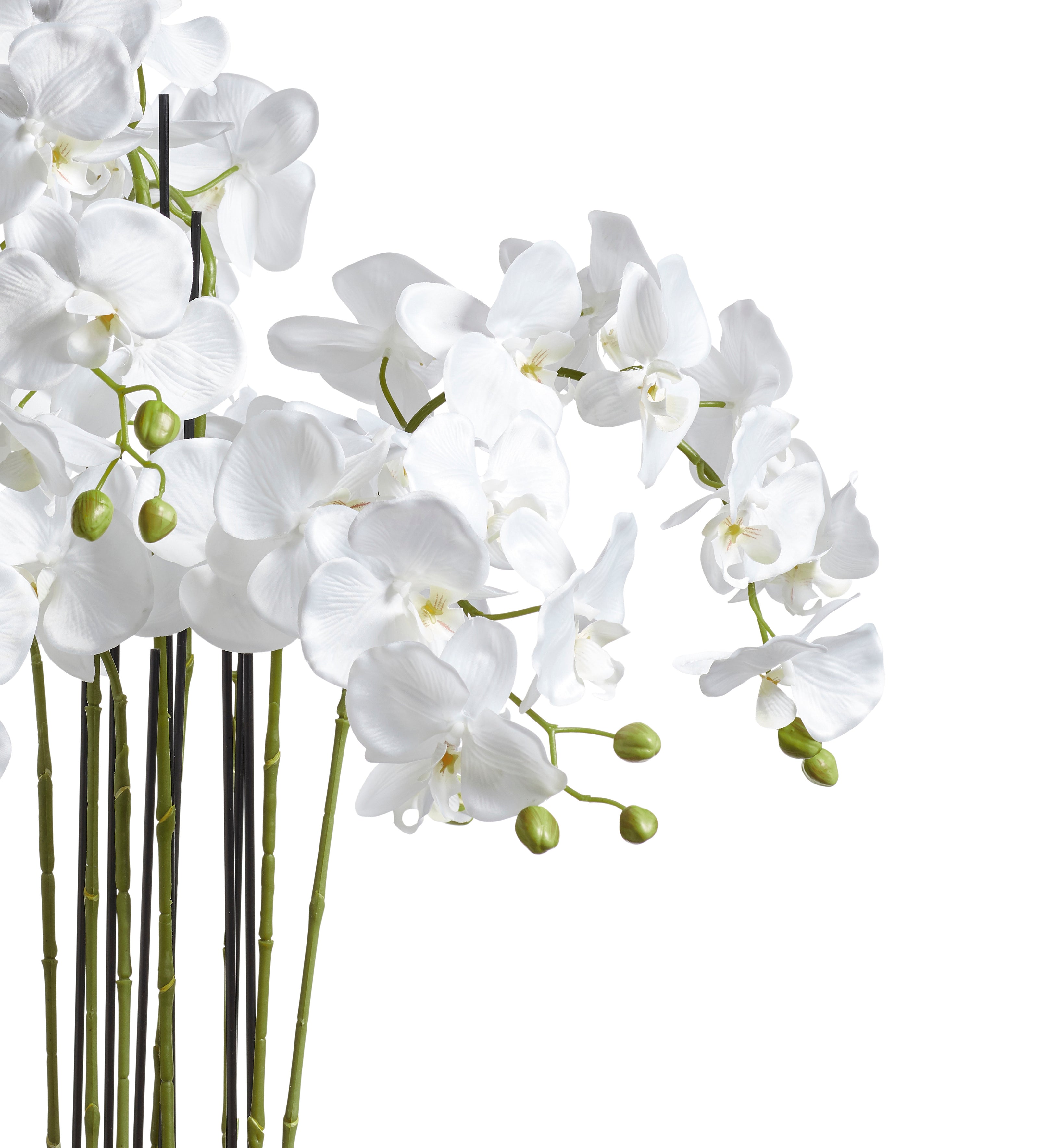 Faux Planted Orchid - Medium - Chinoiserie