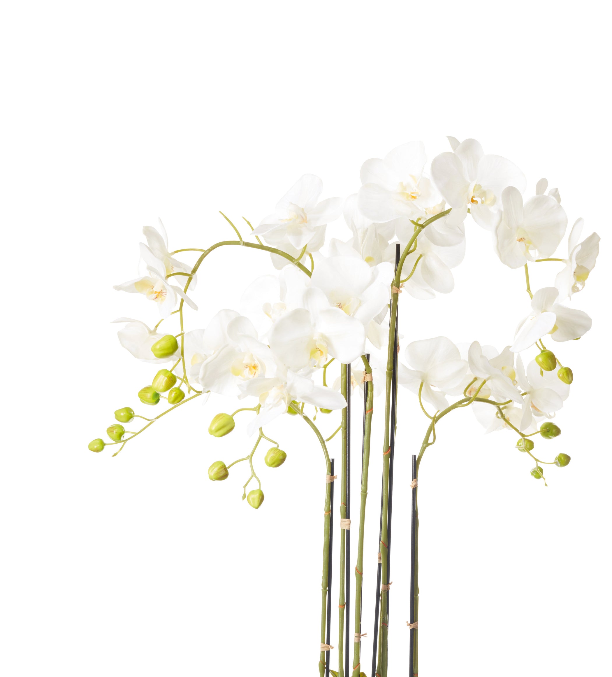 Faux Planted Phalaenopsis Orchid - Medium - White