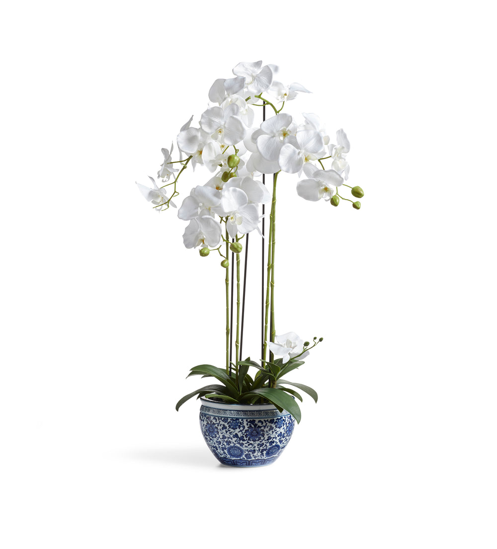 Faux Planted Orchid – Small - Chinoiserie 