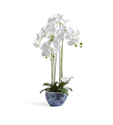 Faux Planted Orchid – Small - Chinoiserie 