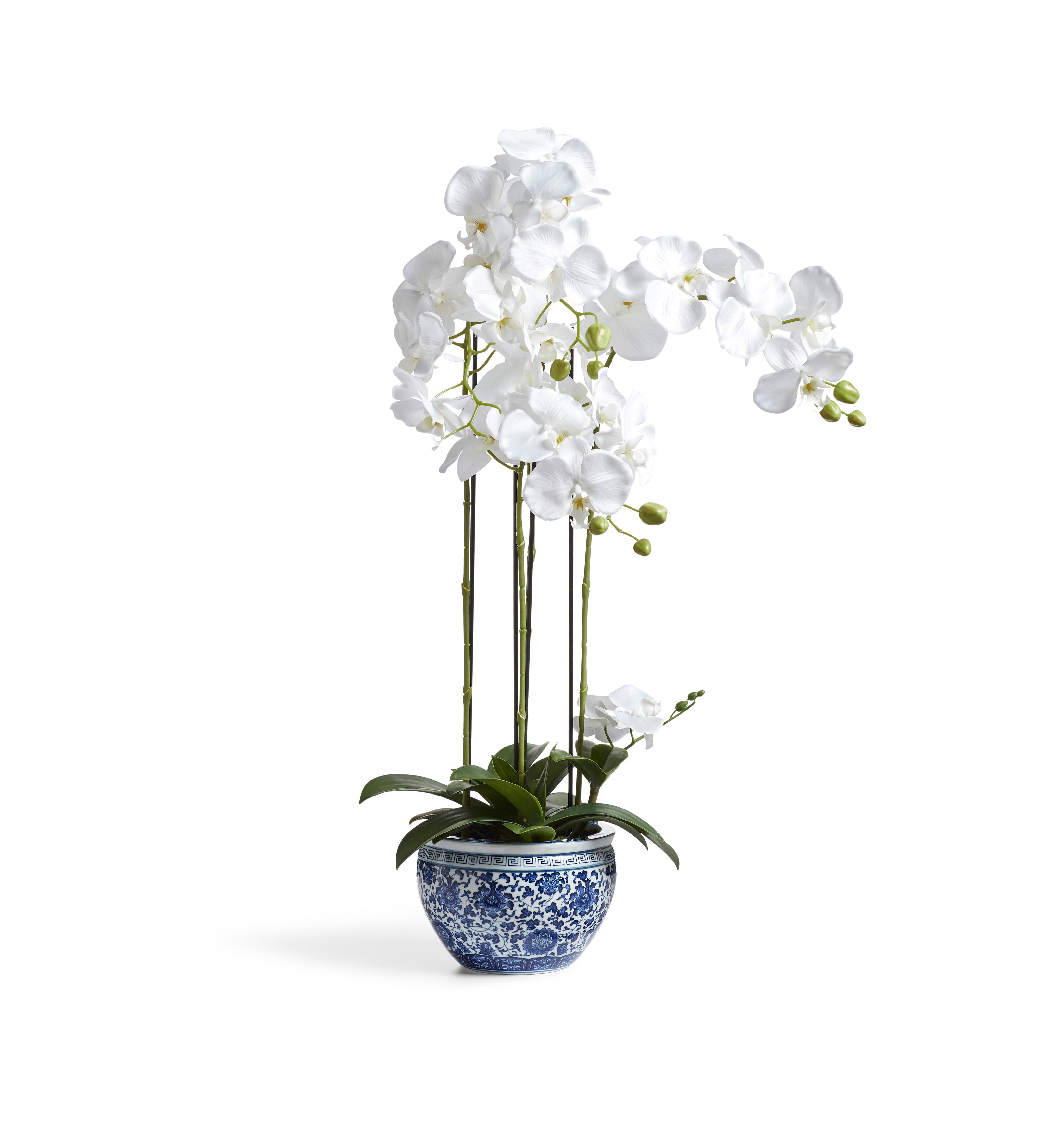 Faux Planted Orchid – Small - Chinoiserie 