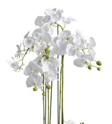Faux Planted Orchid – Small - Chinoiserie 