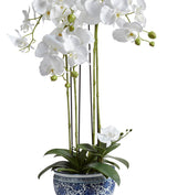 Faux Planted Orchid – Small - Chinoiserie 
