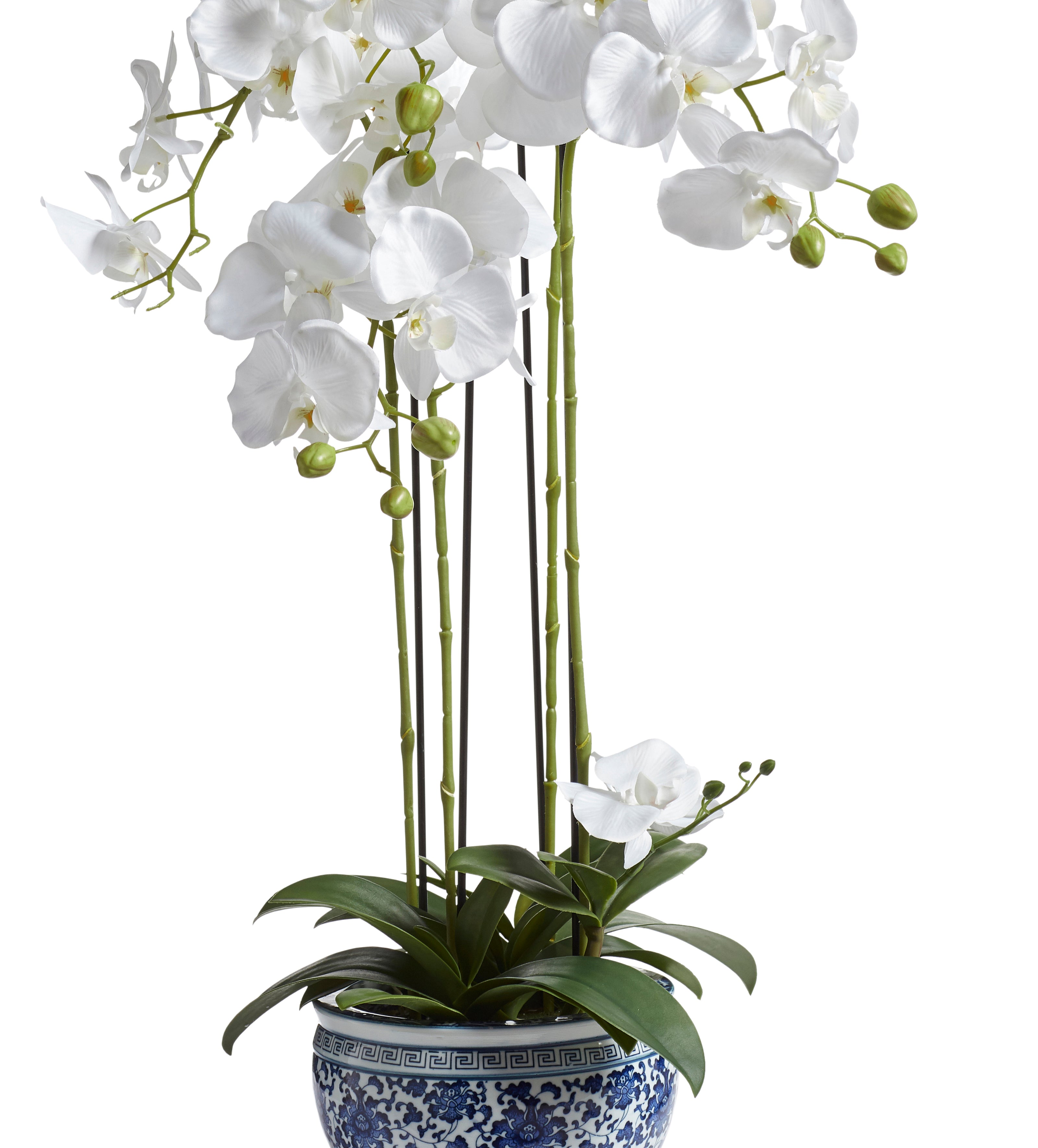Faux Planted Orchid – Small - Chinoiserie 