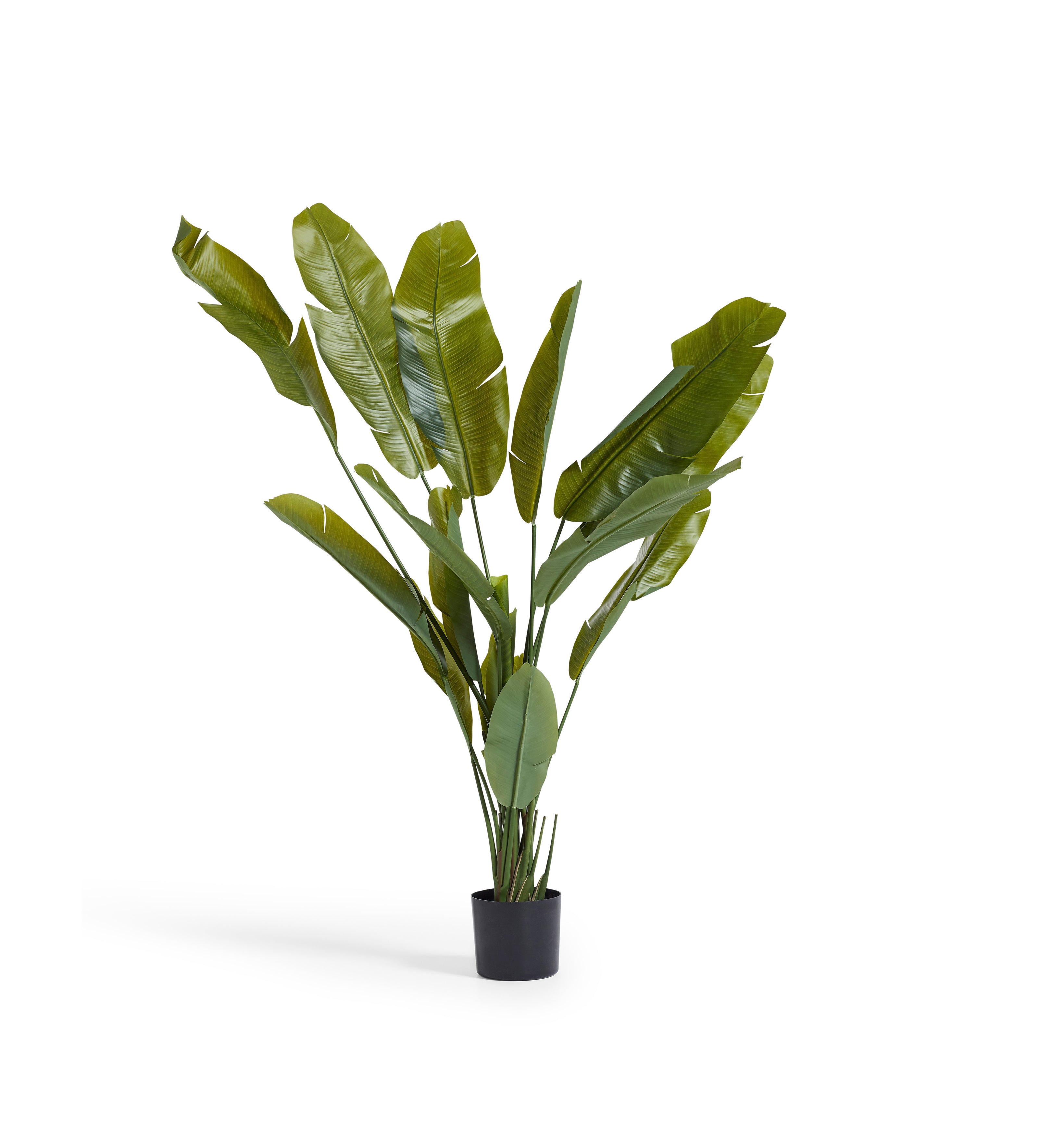 faux potted bird of paradise plant Faux Potted Bird of Paradise - Green