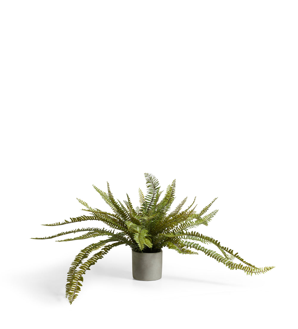 Faux Potted Fern - Green
