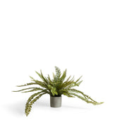 Faux Potted Fern - Green