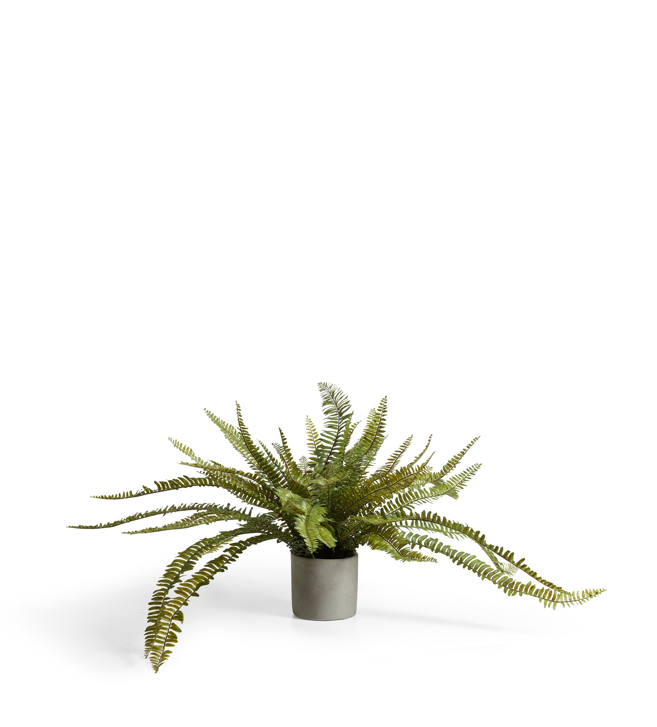 Faux Potted Fern - Green
