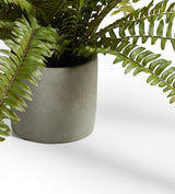 Faux Potted Fern - Green