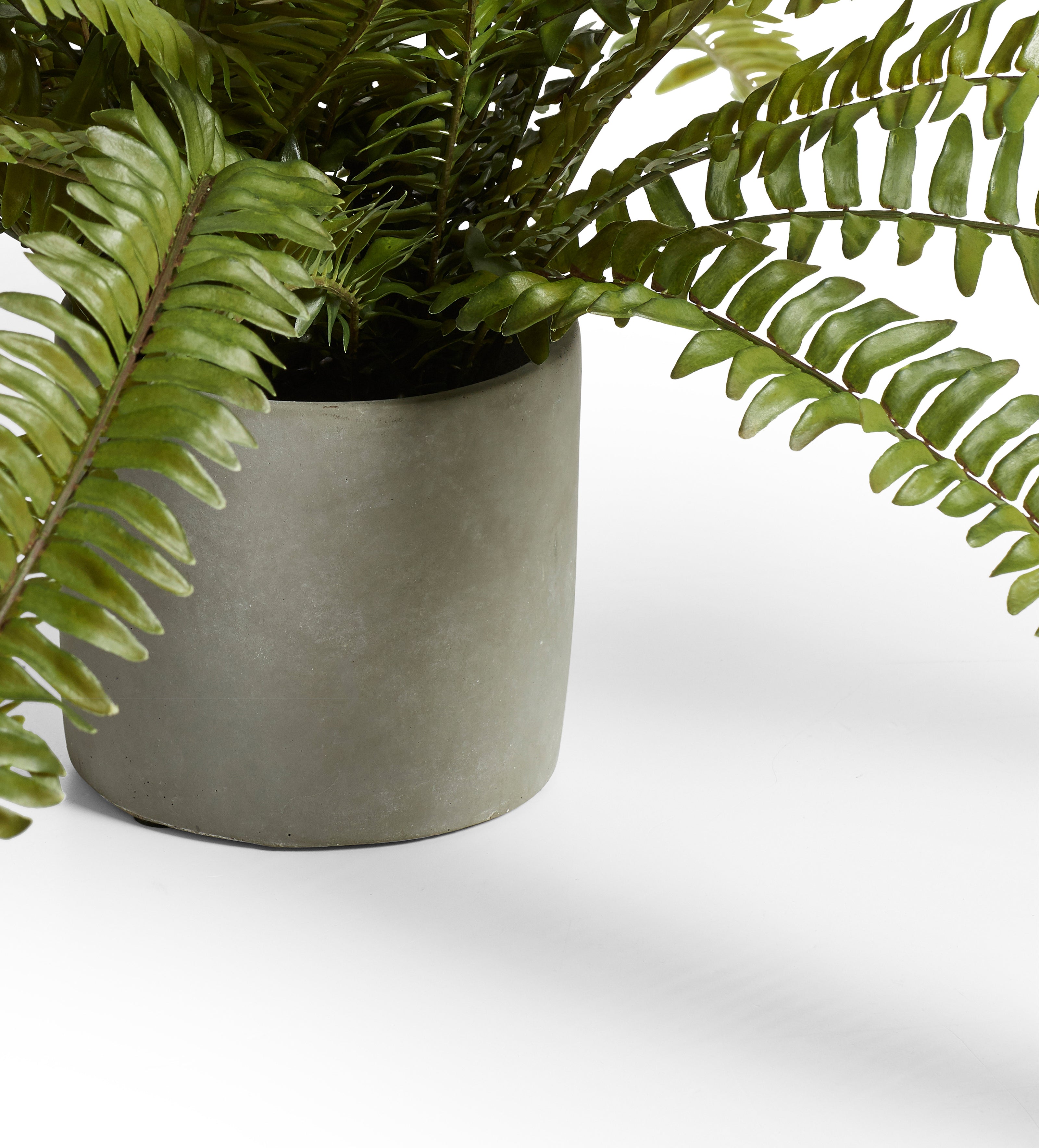 Faux Potted Fern - Green