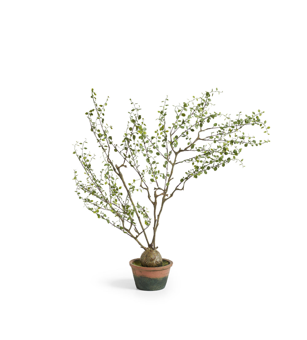 Faux Potted Tree - Green