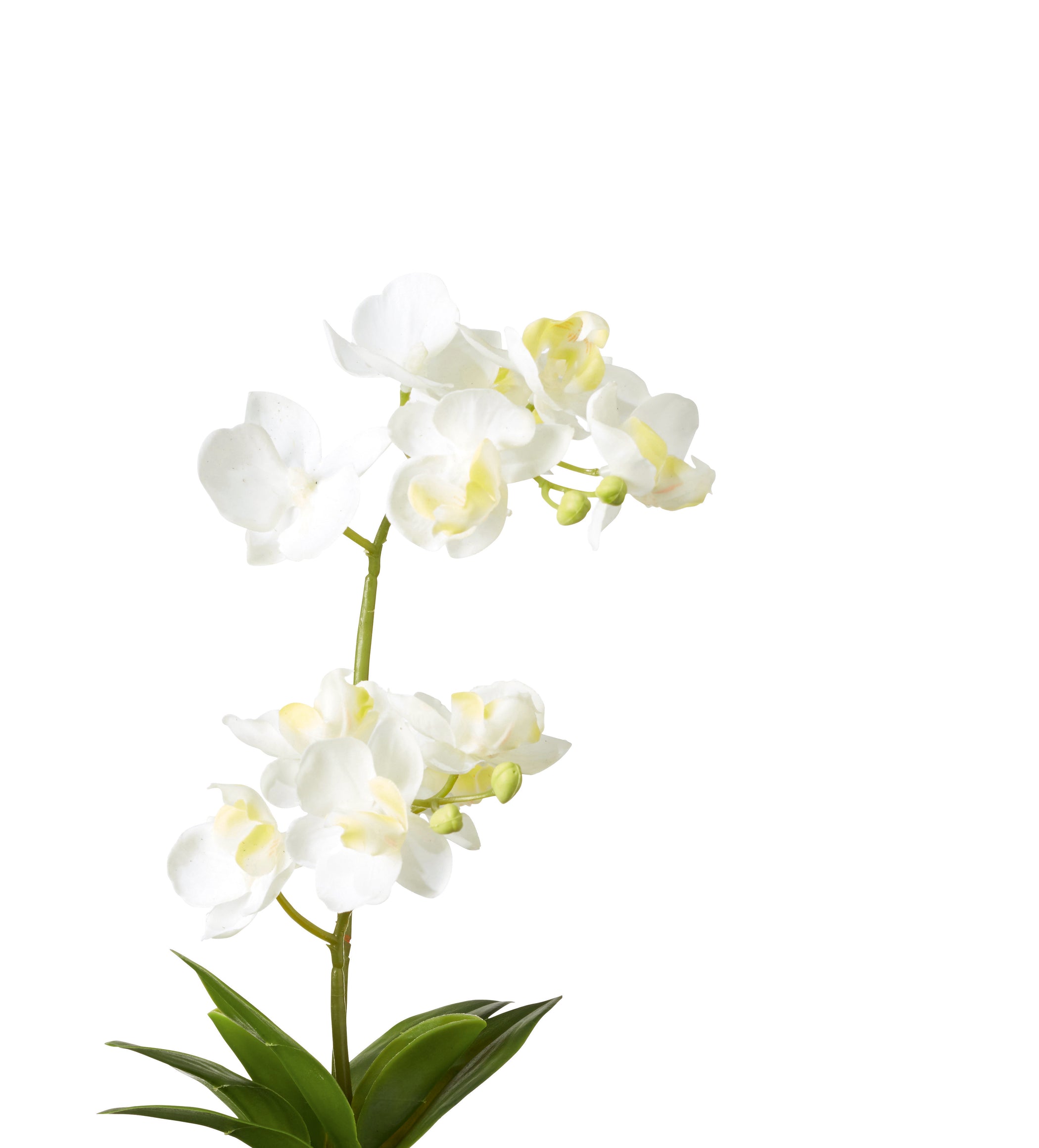 Faux Potted Mini Orchid - White