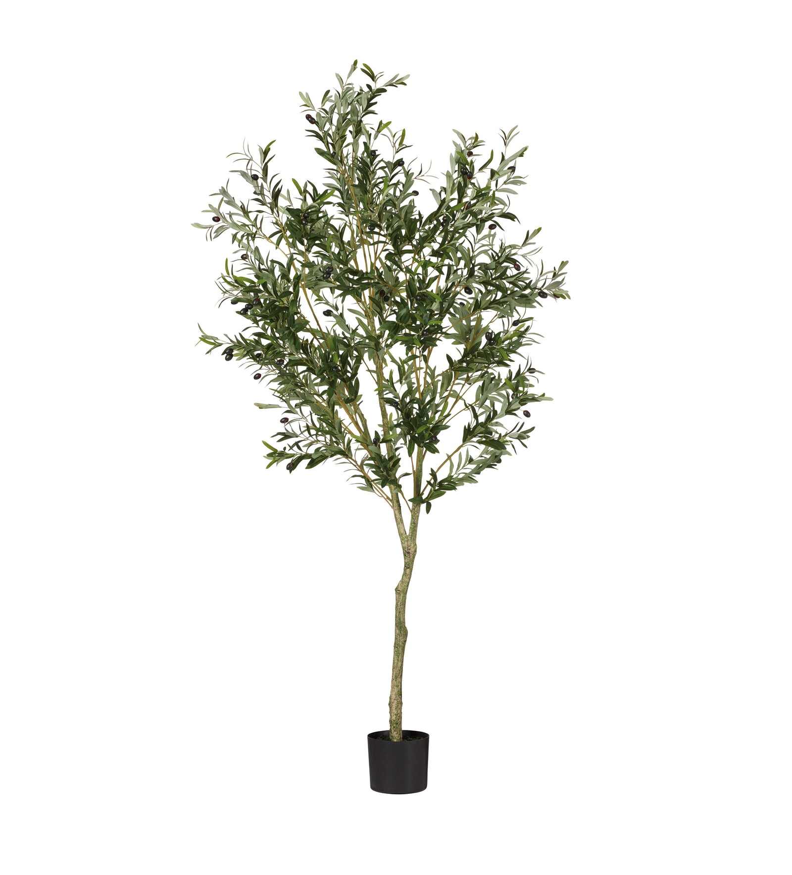 Faux Potted Olive Tree - Large - Black
