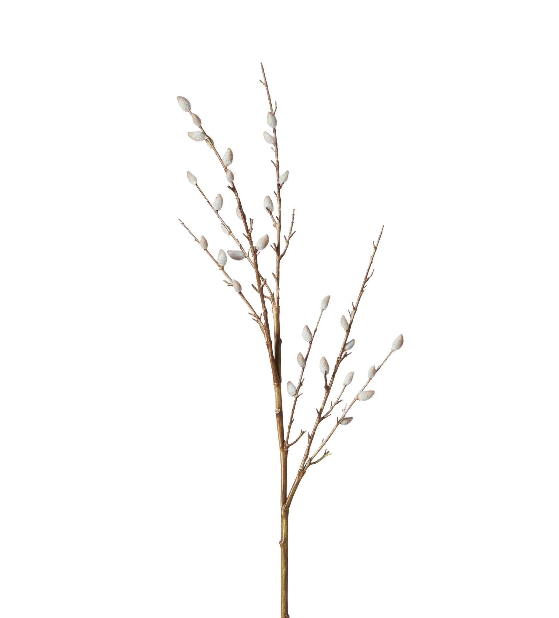 Faux Pussy Willow Branch