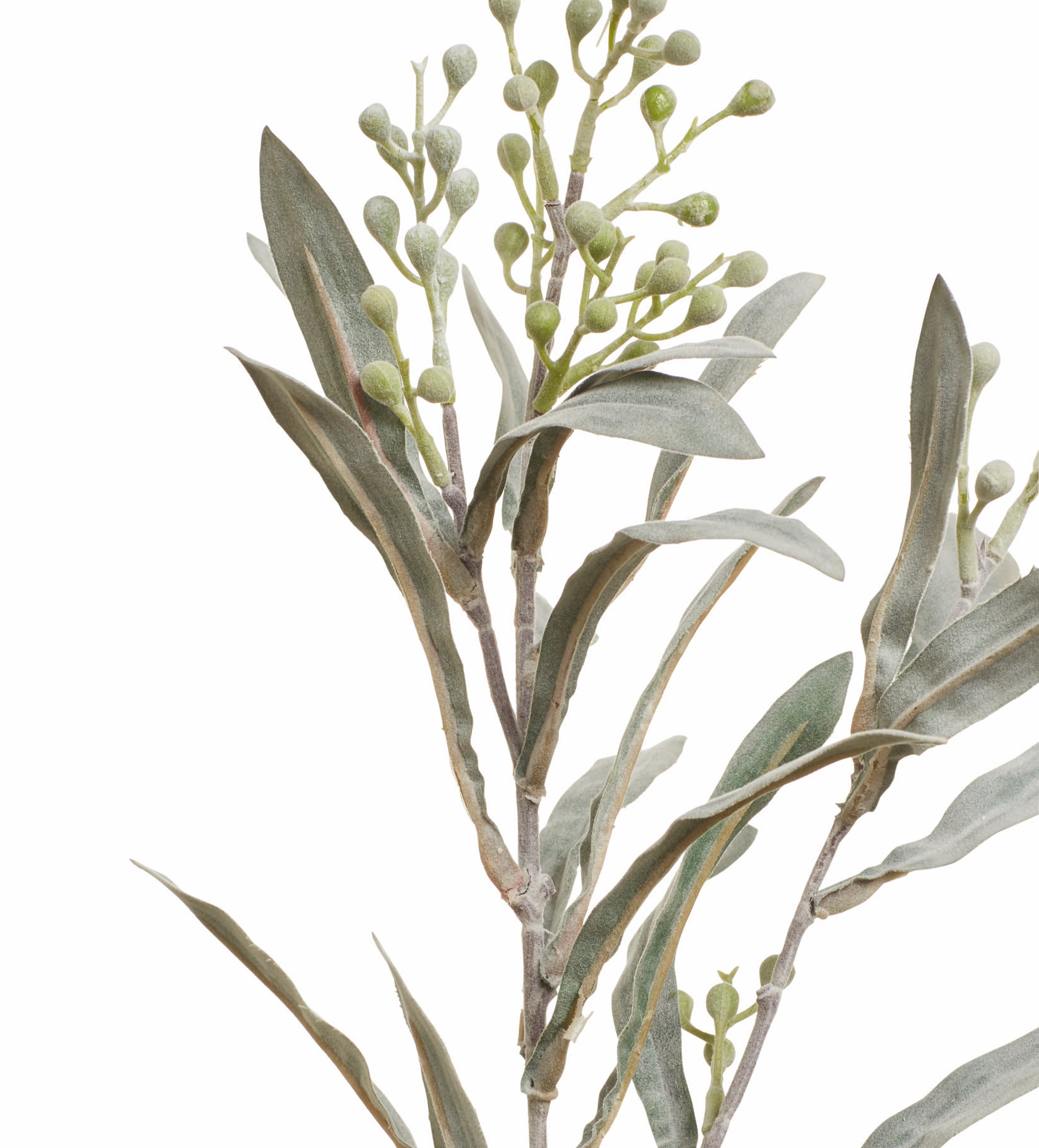 Faux Seeded Eucalptus Stem - Pale Green