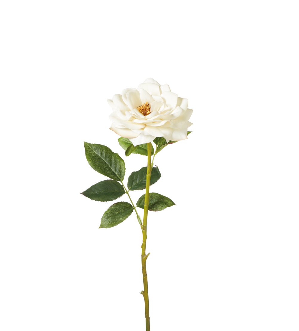 Faux Winchester Cathedral Rose Stem - White