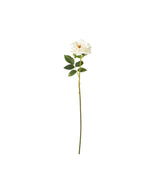 Faux Winchester Cathedral Rose Stem - White