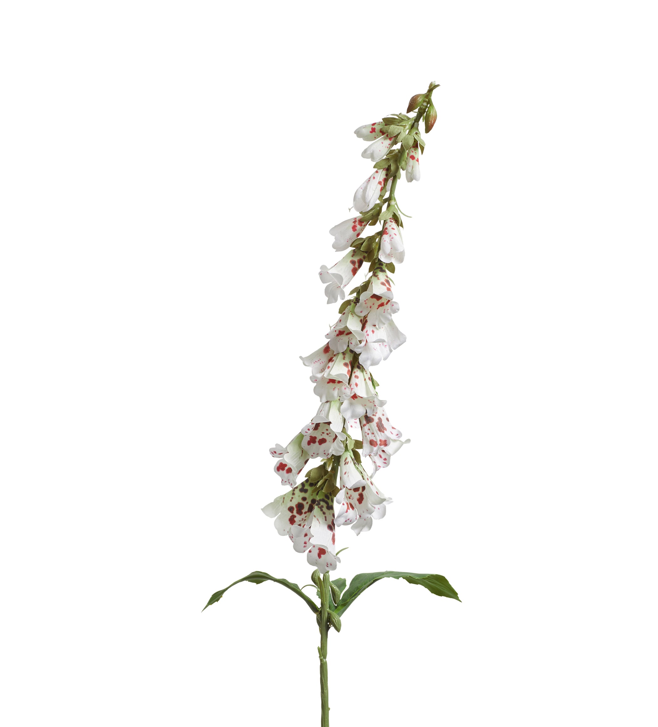 Faux Foxglove Stem - Cream