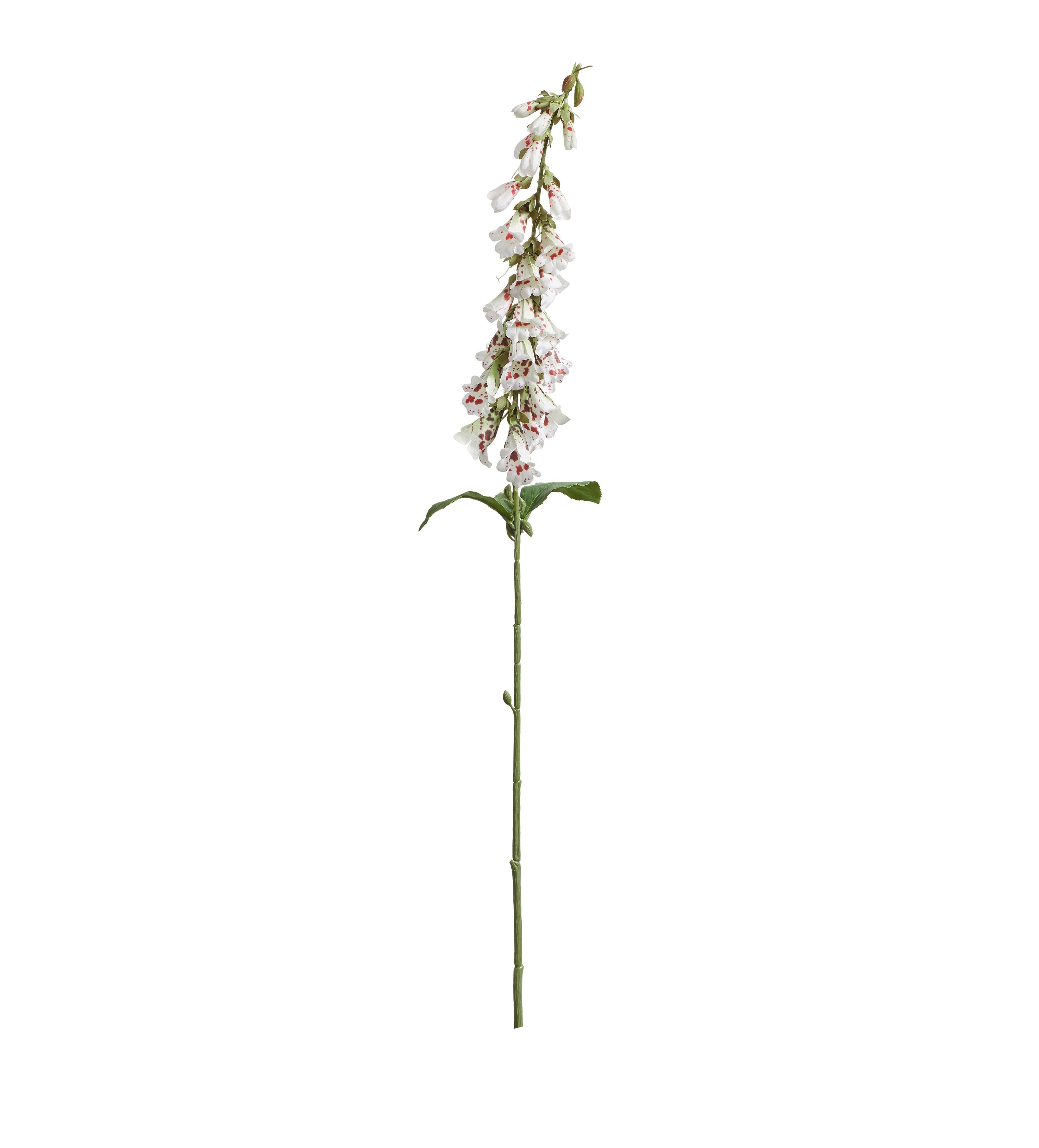 Faux Foxglove Stem - Cream