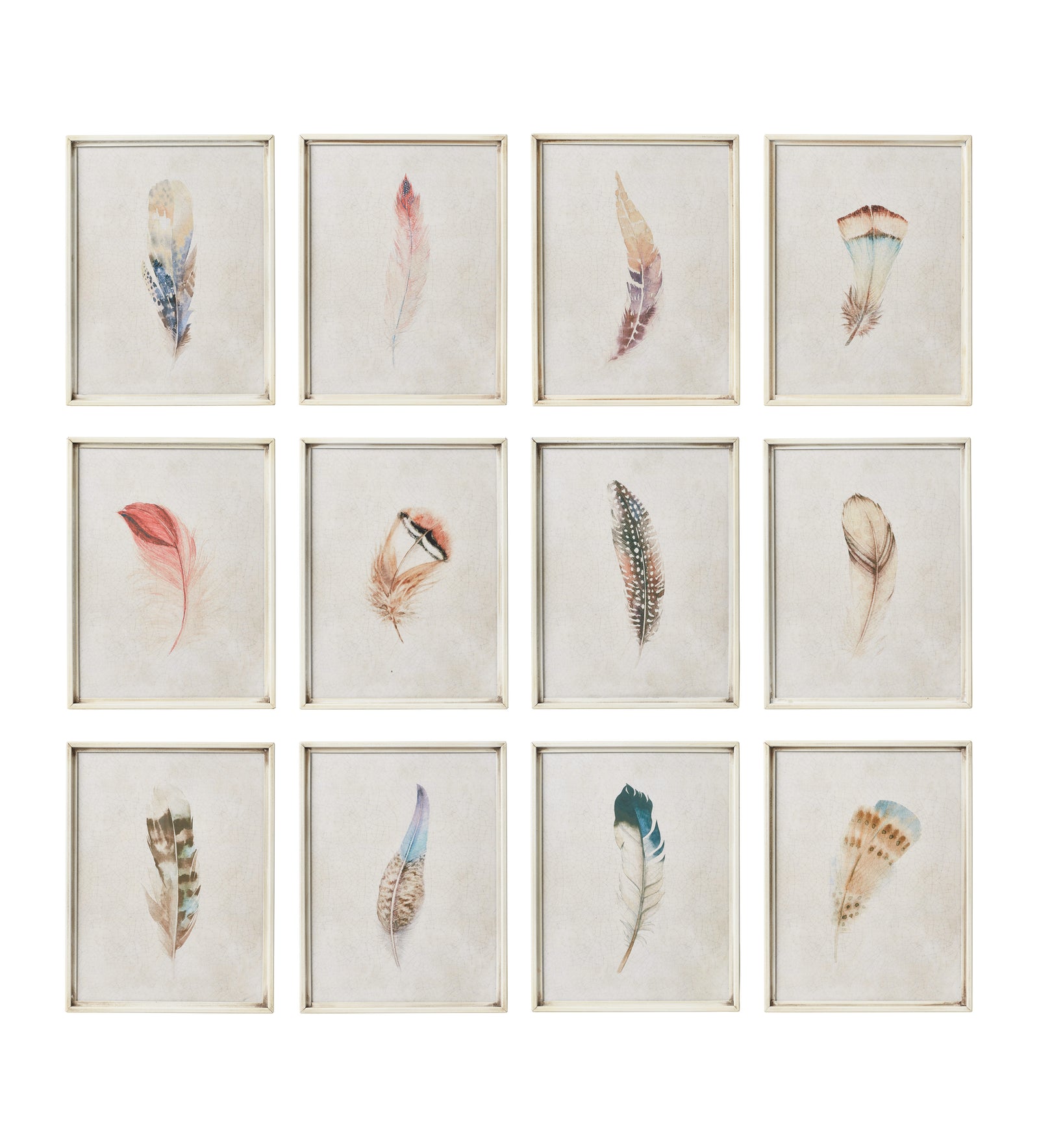 Framed Feather Prints - Set of Twelve - Multi