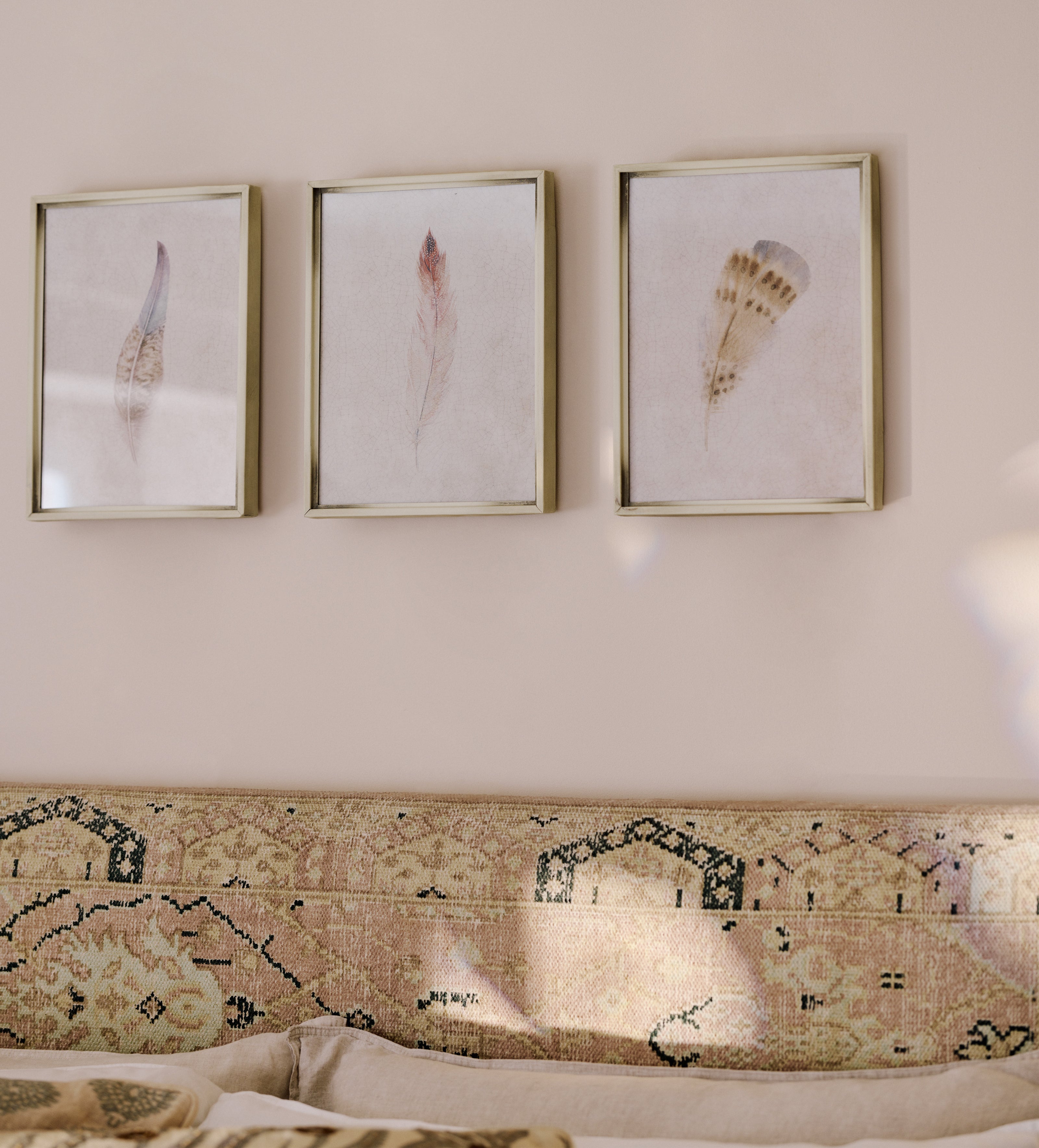 Framed Feather Prints - Set of Twelve - Multi