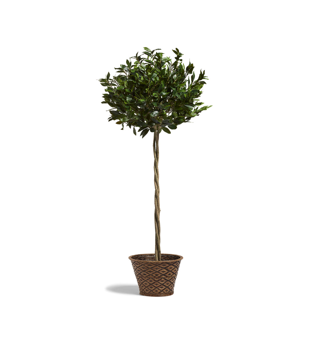 Faux Bay Tree - Large - Green