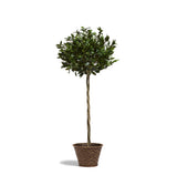 Faux Bay Tree - Large - Green