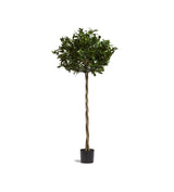 Faux Bay Tree - Large - Green