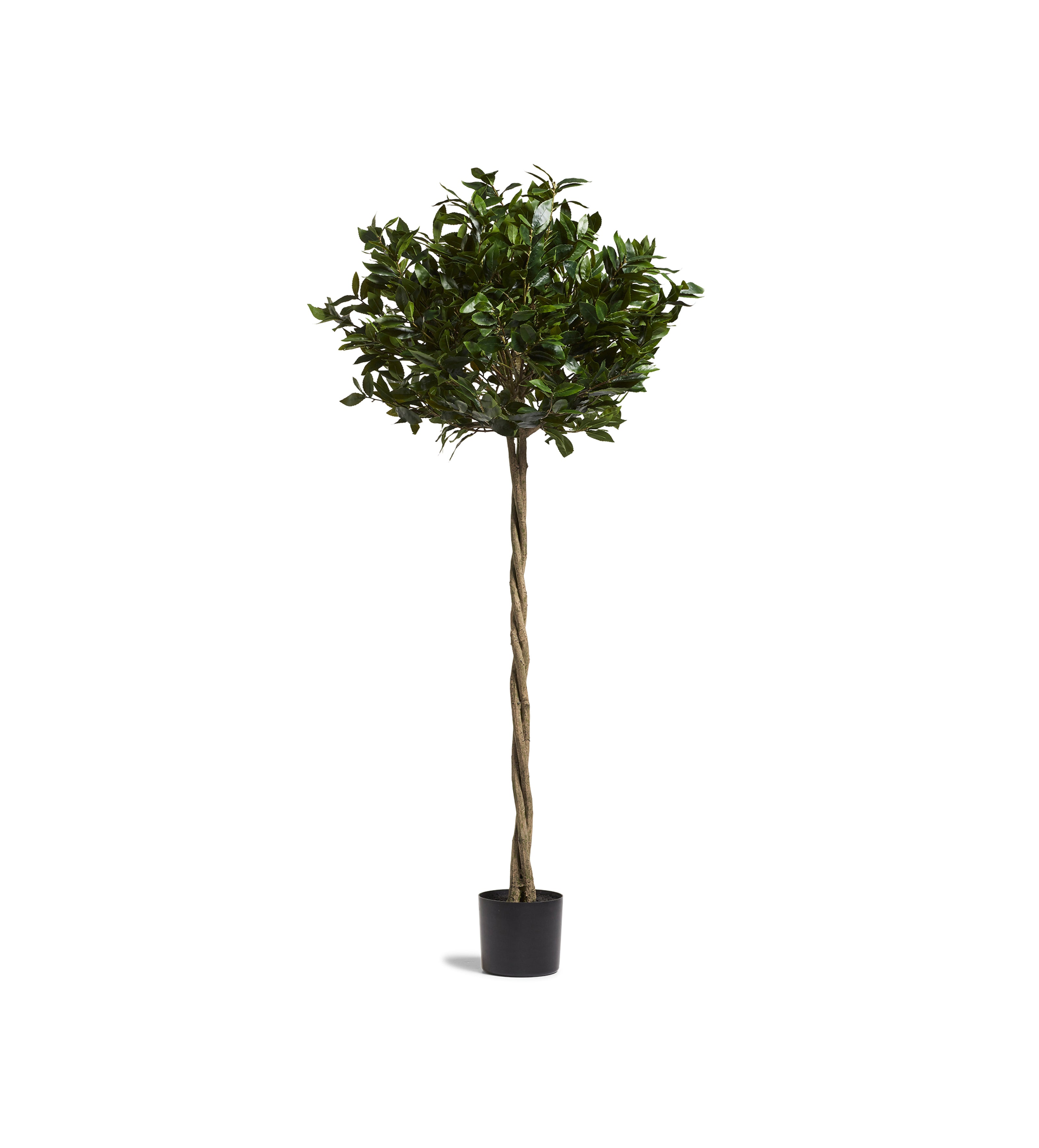 Faux Bay Tree - Large - Green