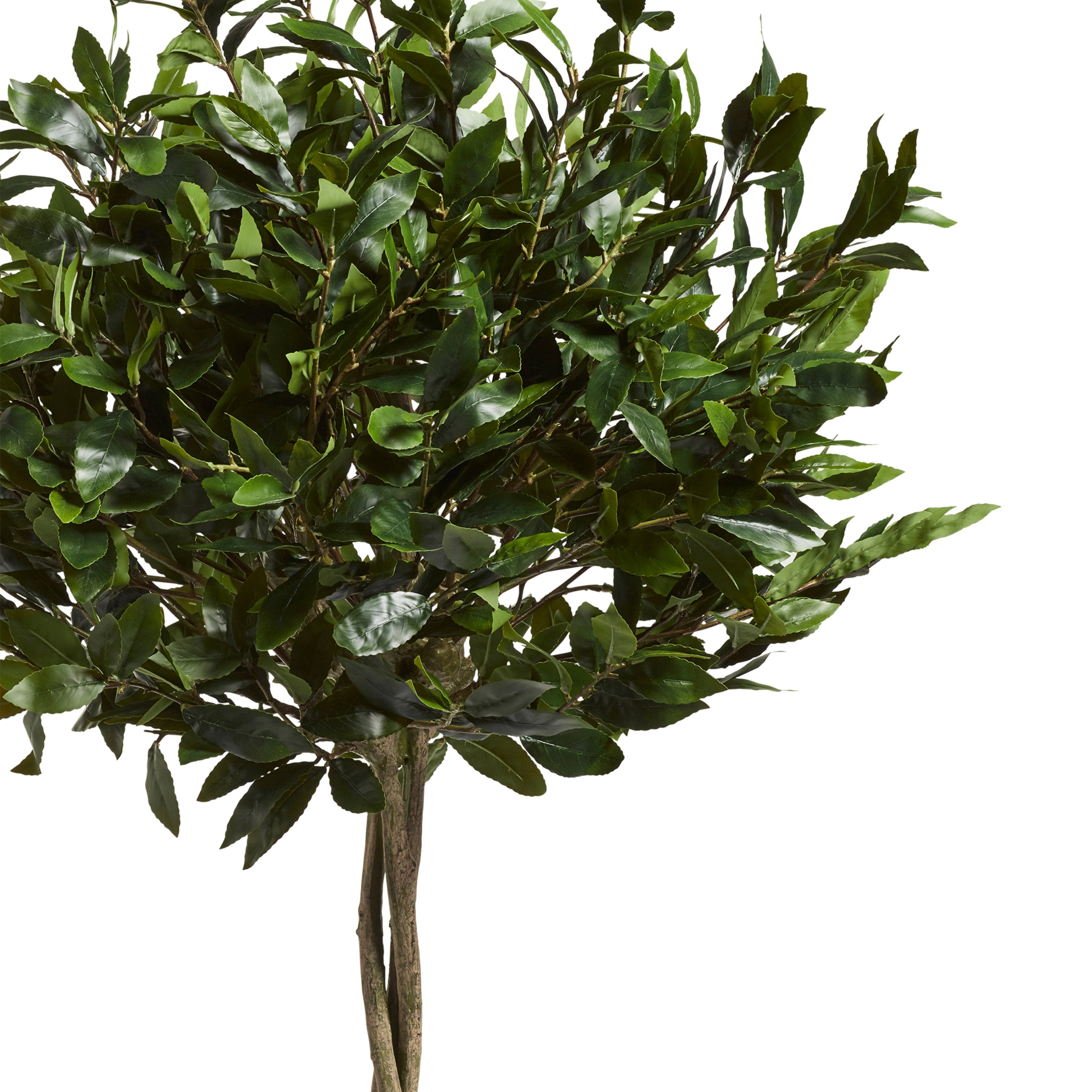 Faux Bay Tree - Large - Green