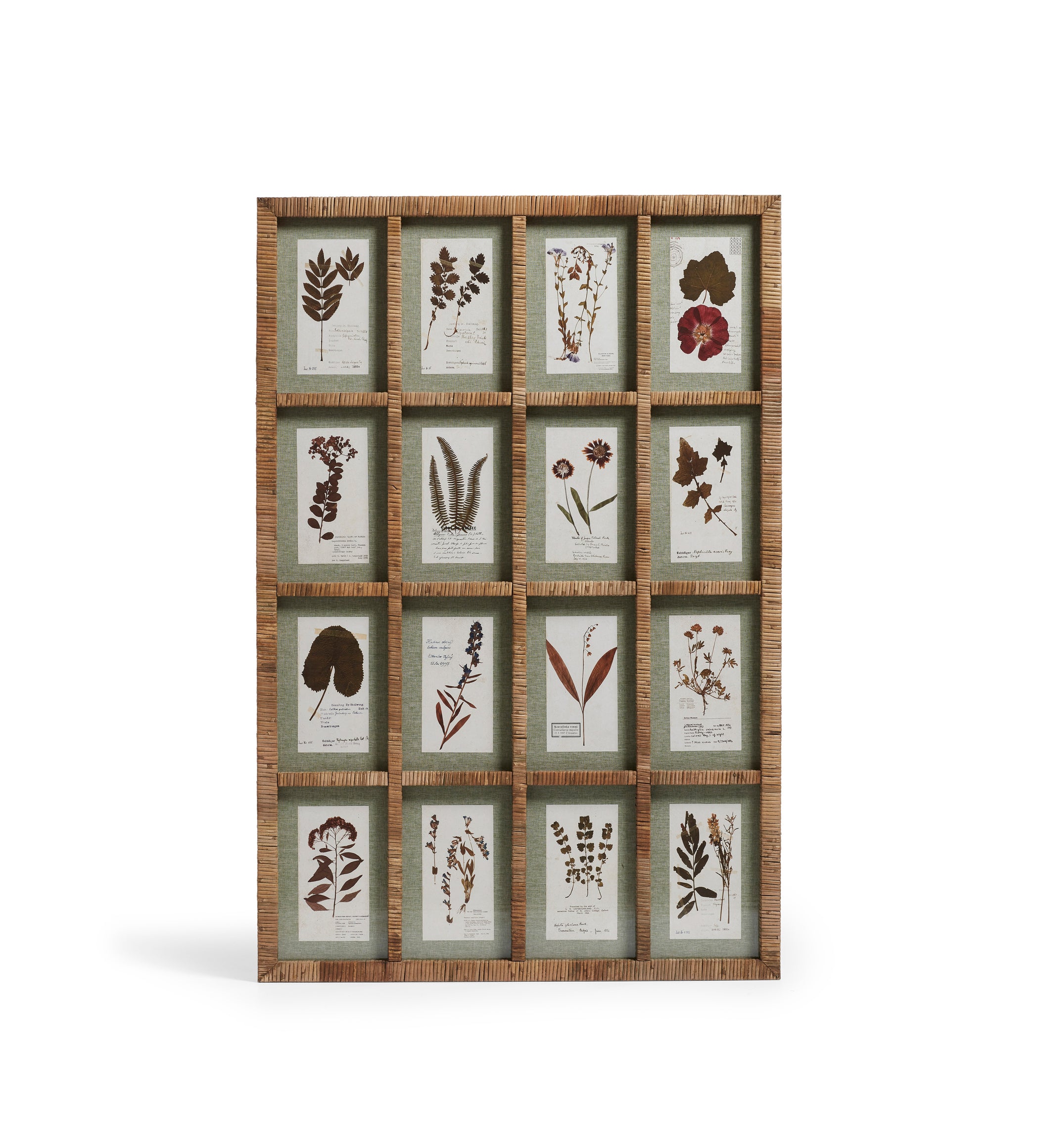 Flores Rattan Framed Floral Prints - Large - Natural