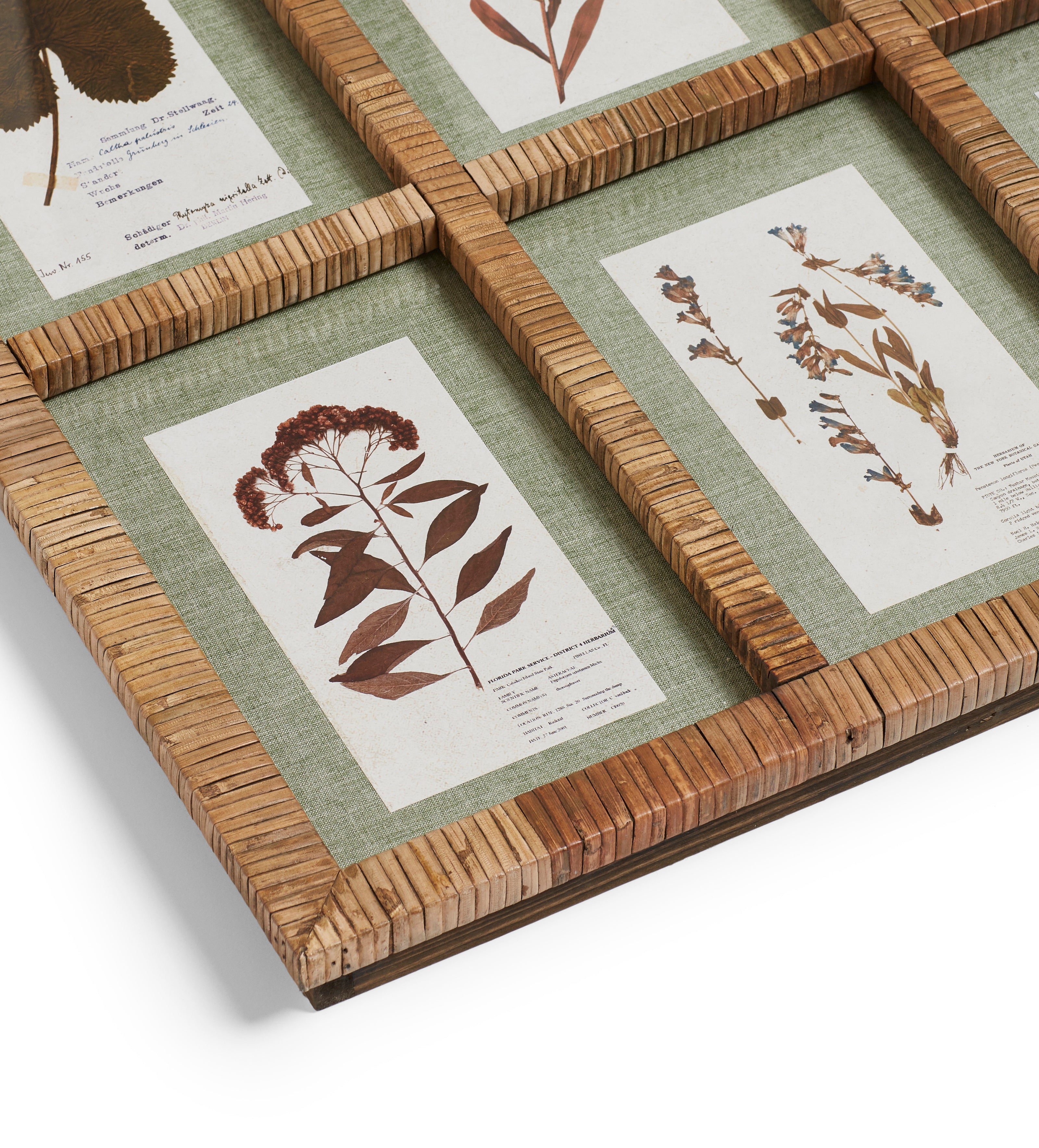 Flores Rattan Framed Floral Prints - Large - Natural