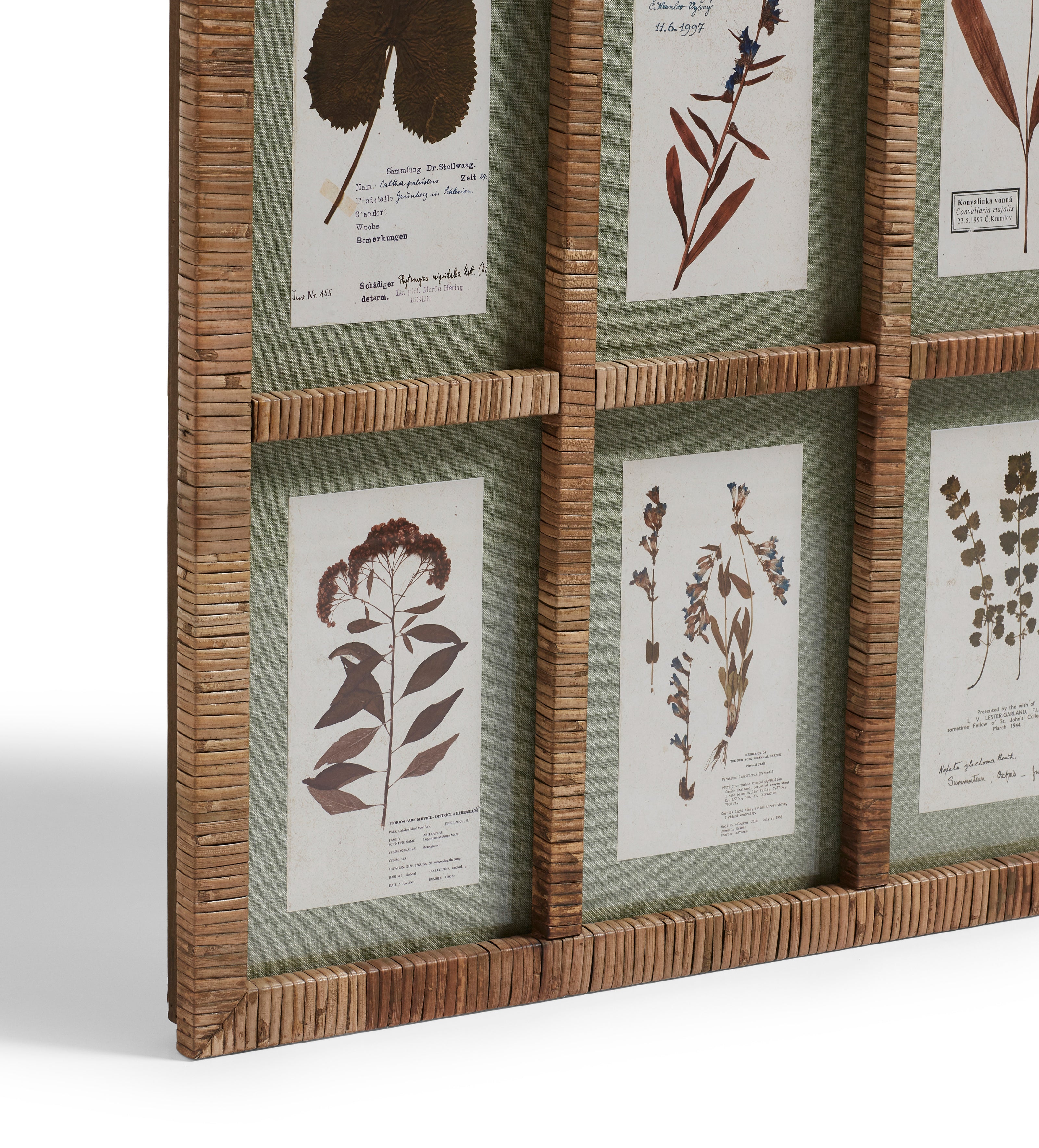Flores Rattan Framed Floral Prints - Large - Natural